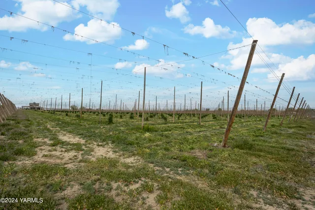 $3,400,000 | Tbd Tbd Puterbaugh/forsell Road, Grandview, WA 98930