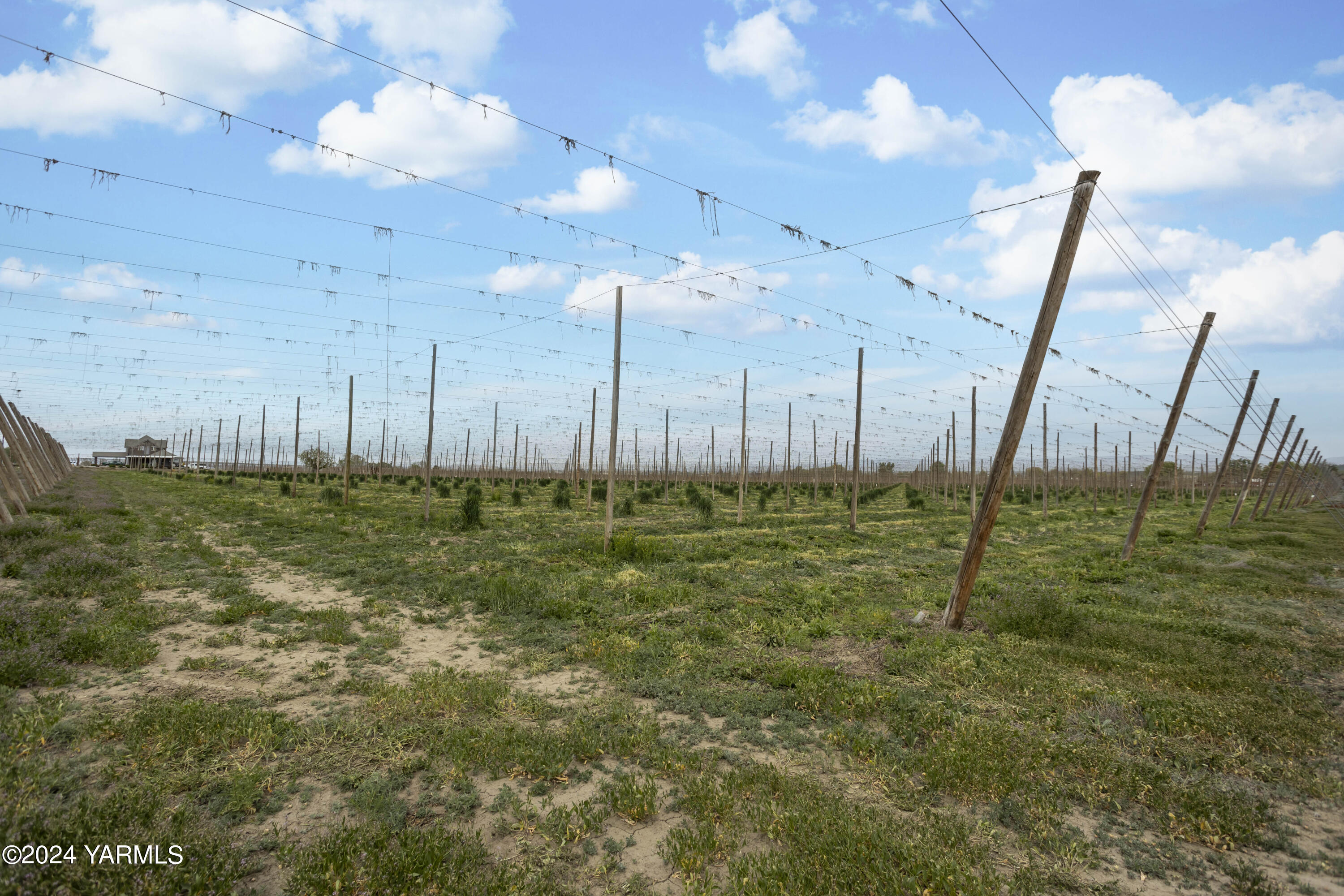 Tbd Tbd Puterbaugh/forsell Road Grandview, WA 98930 - Photo 30 of 36 Puterbaugh 4.24.24 30