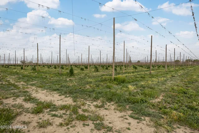 $3,400,000 | Tbd Tbd Puterbaugh/forsell Road, Grandview, WA 98930