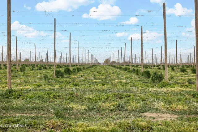 $3,400,000 | Tbd Tbd Puterbaugh/forsell Road, Grandview, WA 98930