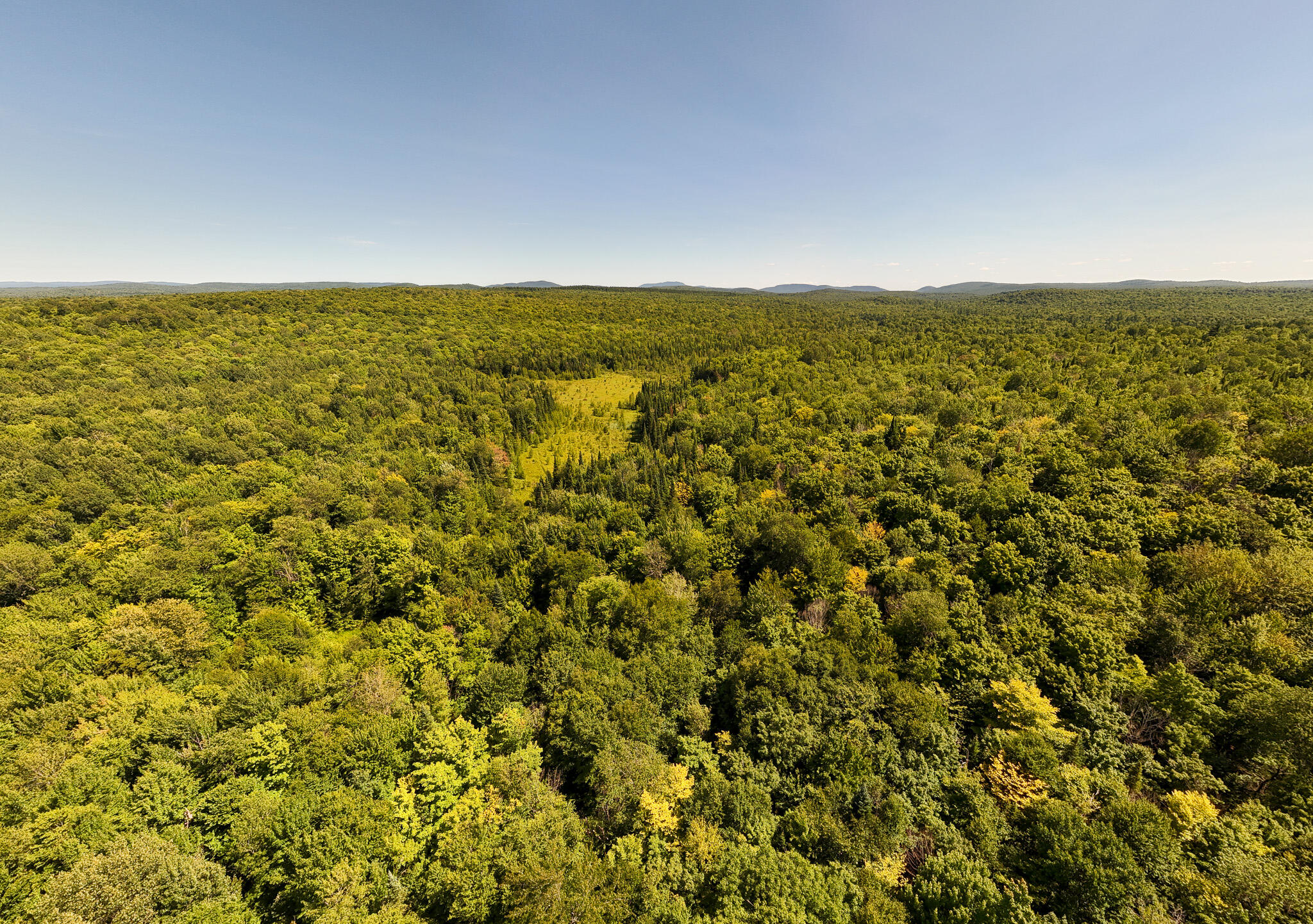 0 Cox Road North Bangor, NY 12966 - Photo 7 of 22 Brandon land 6