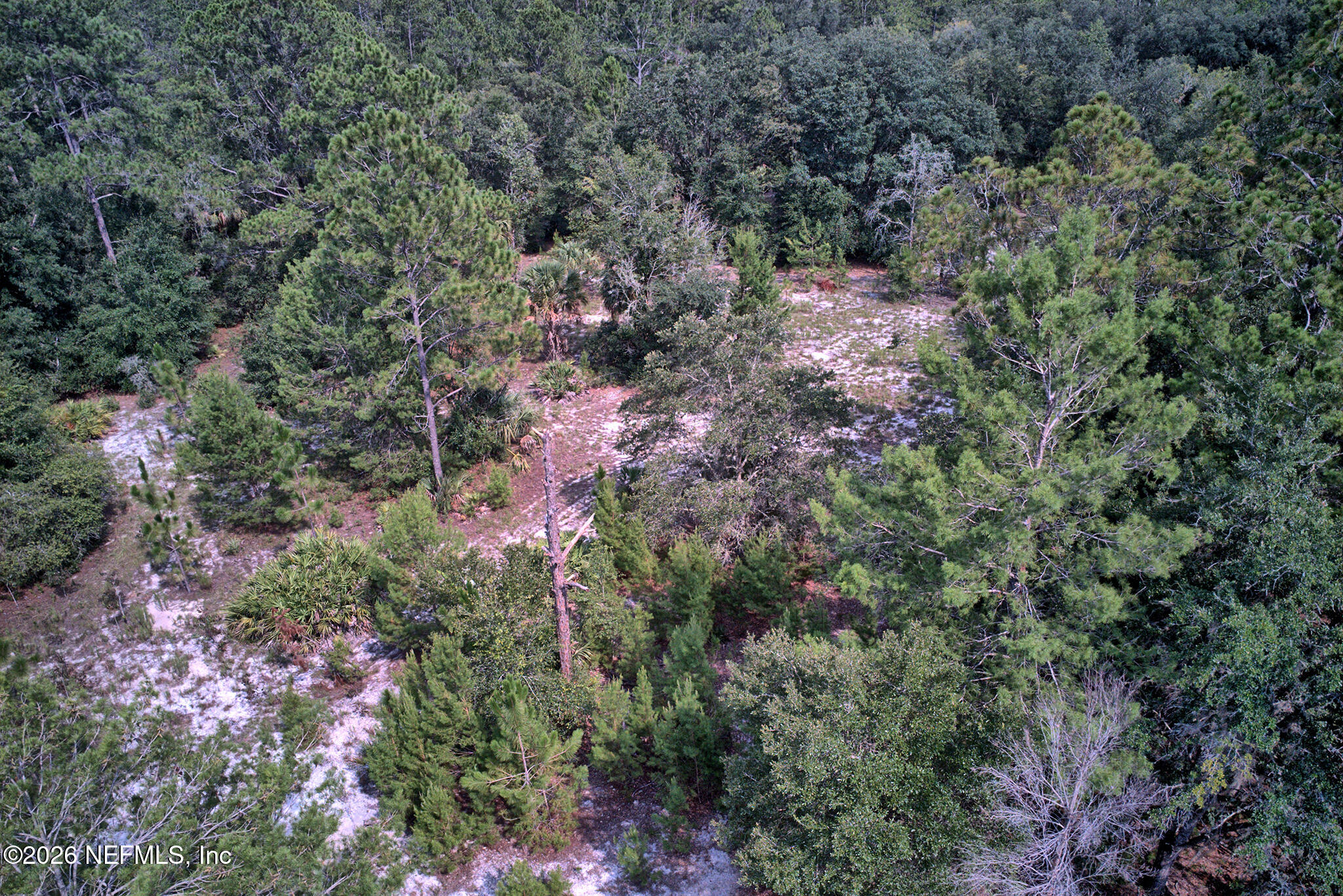 0 Cousintown Road Interlachen, FL 32148 - Photo 13 of 28 Cousintown drone edited - 2