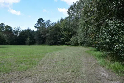 $42,000 | Lot B Bobbie Lane, Pineville, SC 29468