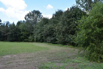 $42,000 | Lot B Bobbie Lane, Pineville, SC 29468