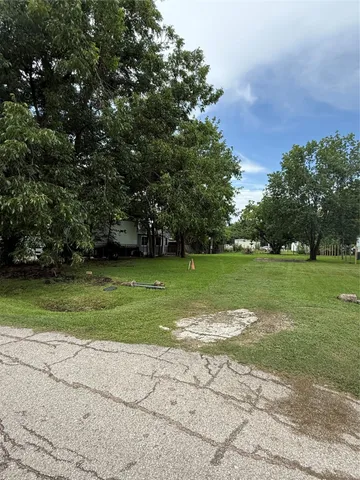 a view of a park with large trees