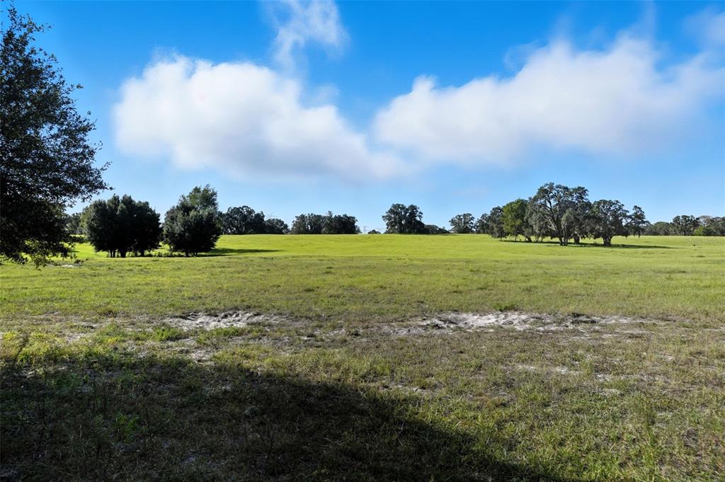 15616 Larry Road Spring Hill, FL 34610 - Photo 6 of 42