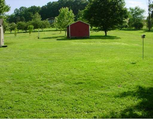 2 Rasel Avenue Washington, PA 15301 - Photo 8 of 8 Land/Lot. Shed, Check out the nice laying land. Some fruit trees