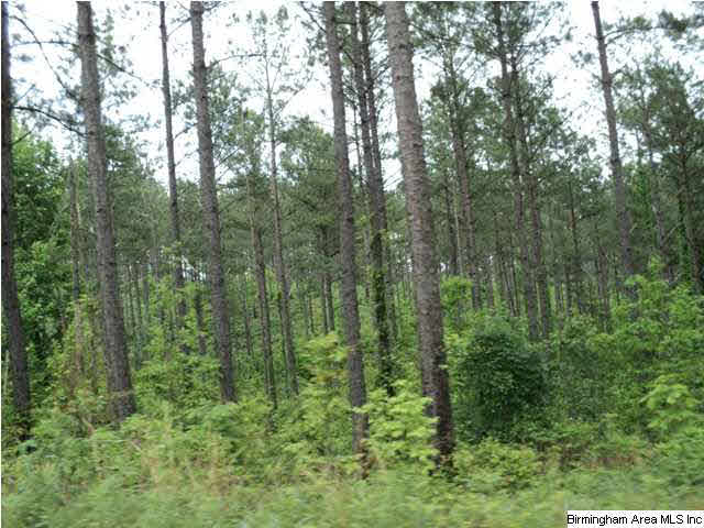 485 County Road, Unit 110 Clanton, AL 35046 - Photo 13 of 22