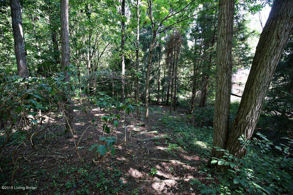 1208 Pheasant Ridge Road Goshen, KY 40026 - Photo 3 of 8 3