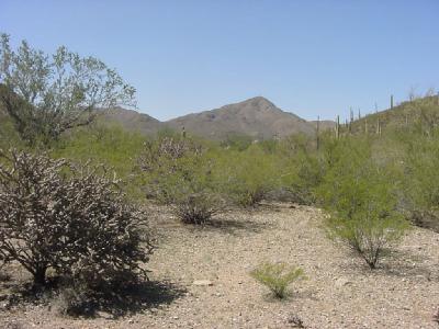 0 North El Adobe Ranch Road Tucson, AZ 85745 - Photo 4 of 7 Gallery Image 4
