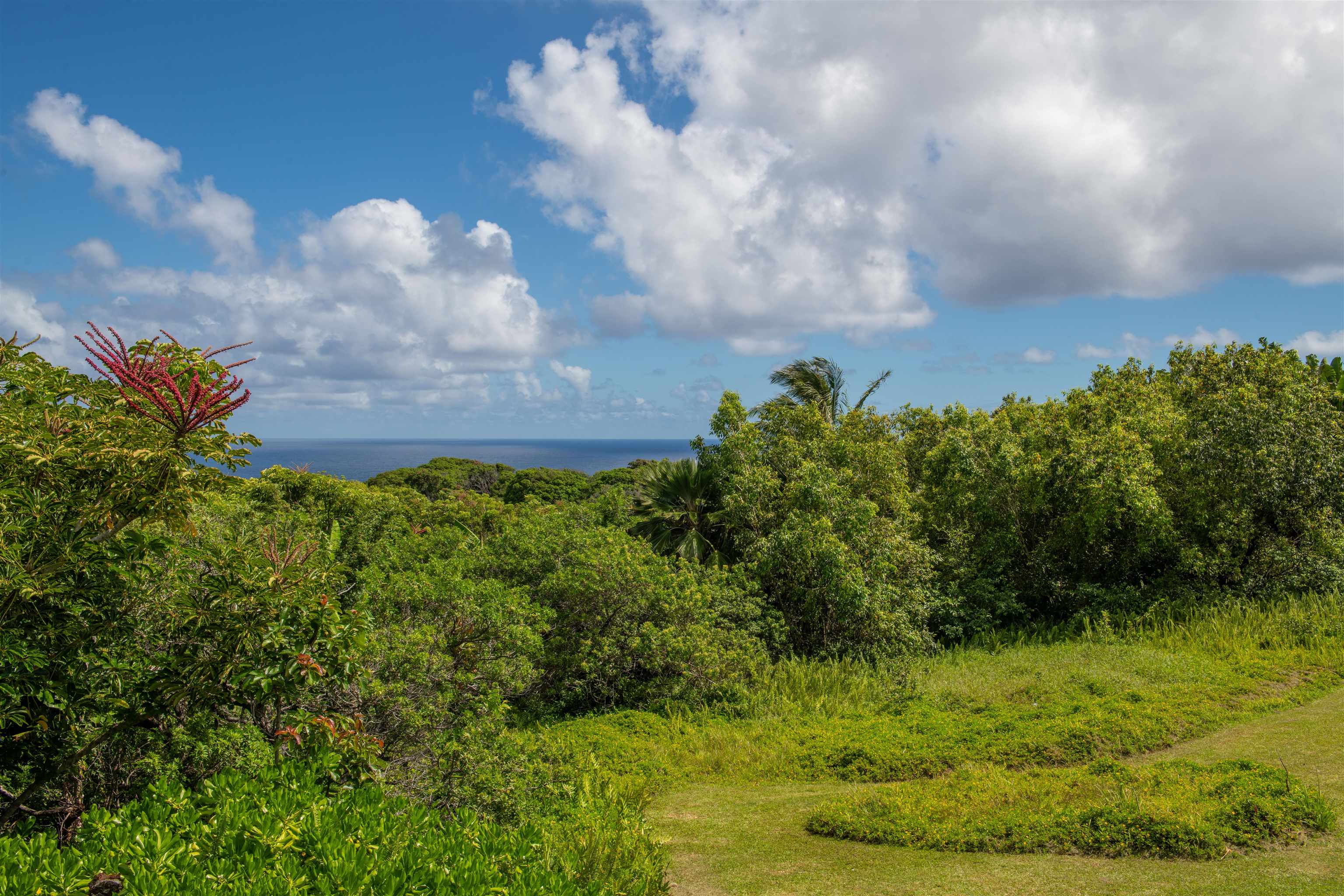601 North Honokala Road, Unit B Haiku, HI 96708 - Photo 27 of 38
