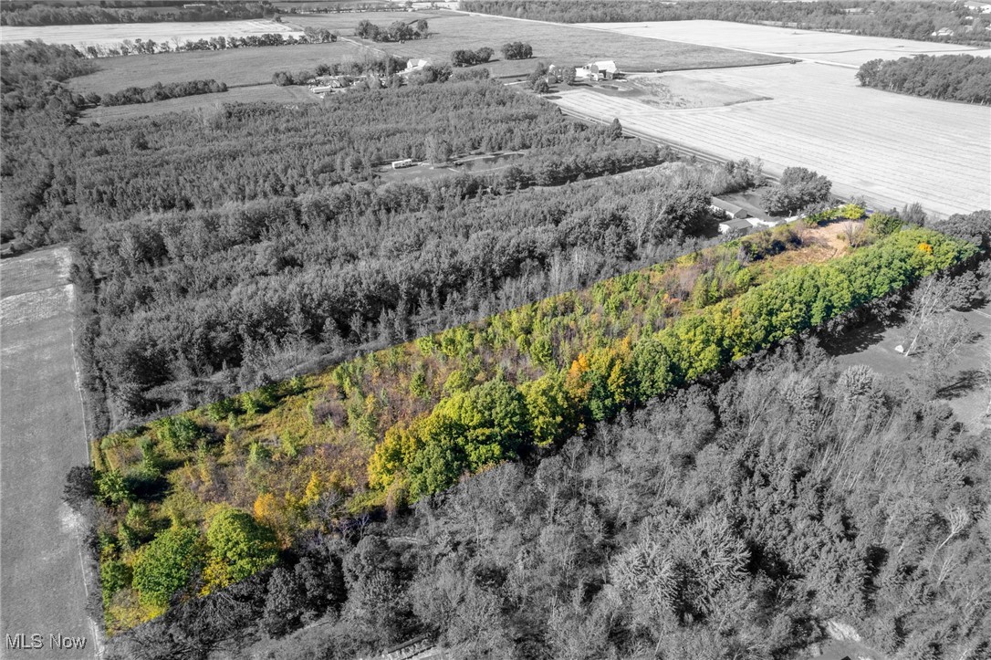 11322 Chatham Road Spencer, OH 44275 - Photo 10 of 10 Overview of rural landscape featuring large plots for crops and a forest