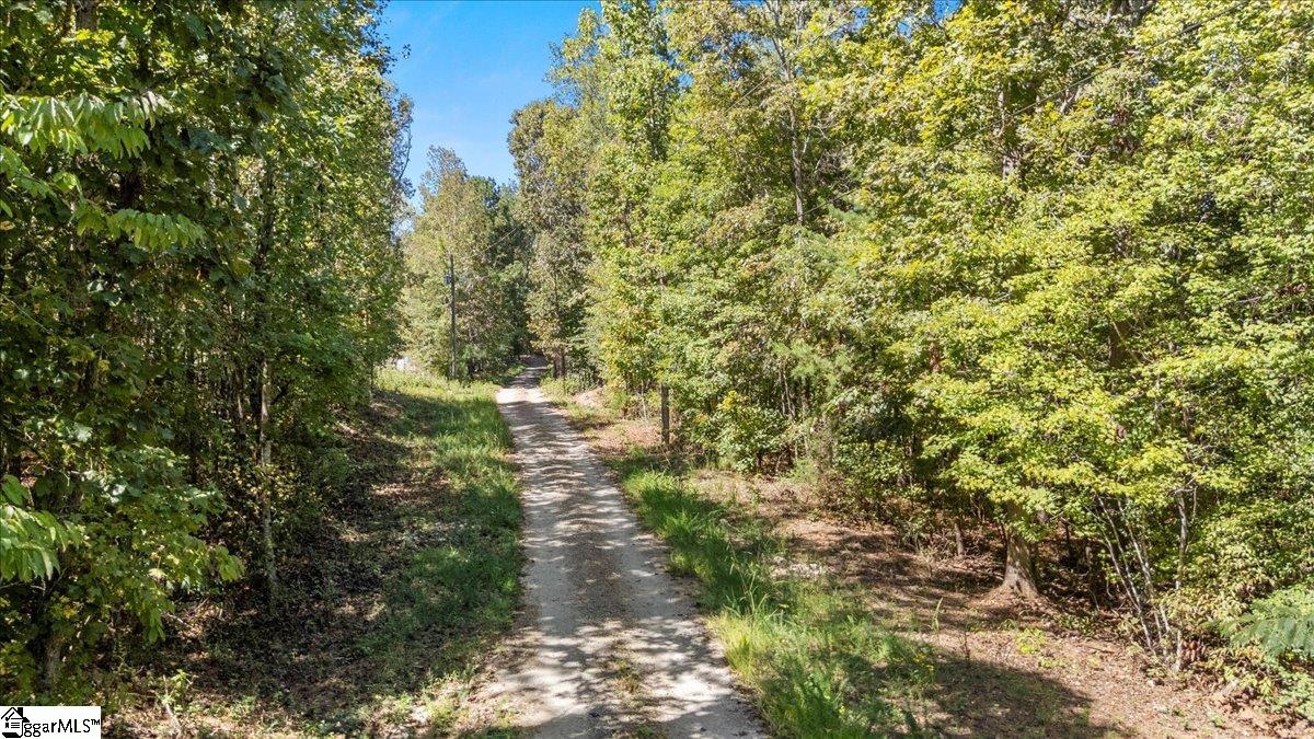 1660 Kilgore Bridge Road Woodruff, SC 29388 - Photo 38 of 50
