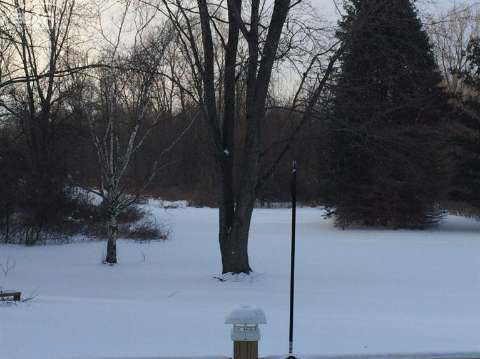 13211 Tuscola Road Clio, MI 48420 - Photo 25 of 67 20430761-24.JPG