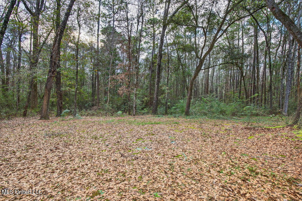 188 Devaughn Road Lucedale, MS 39452 - Photo 41 of 41 188DevaughnRd-41