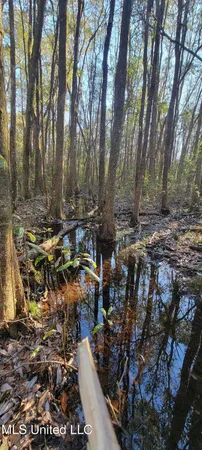 $410,000 | 188 Devaughn Road, Lucedale, MS 39452