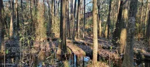 $410,000 | 188 Devaughn Road, Lucedale, MS 39452