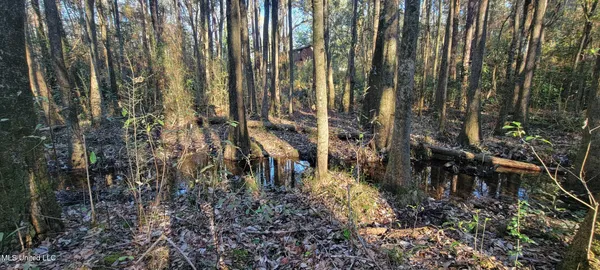 $410,000 | 188 Devaughn Road, Lucedale, MS 39452