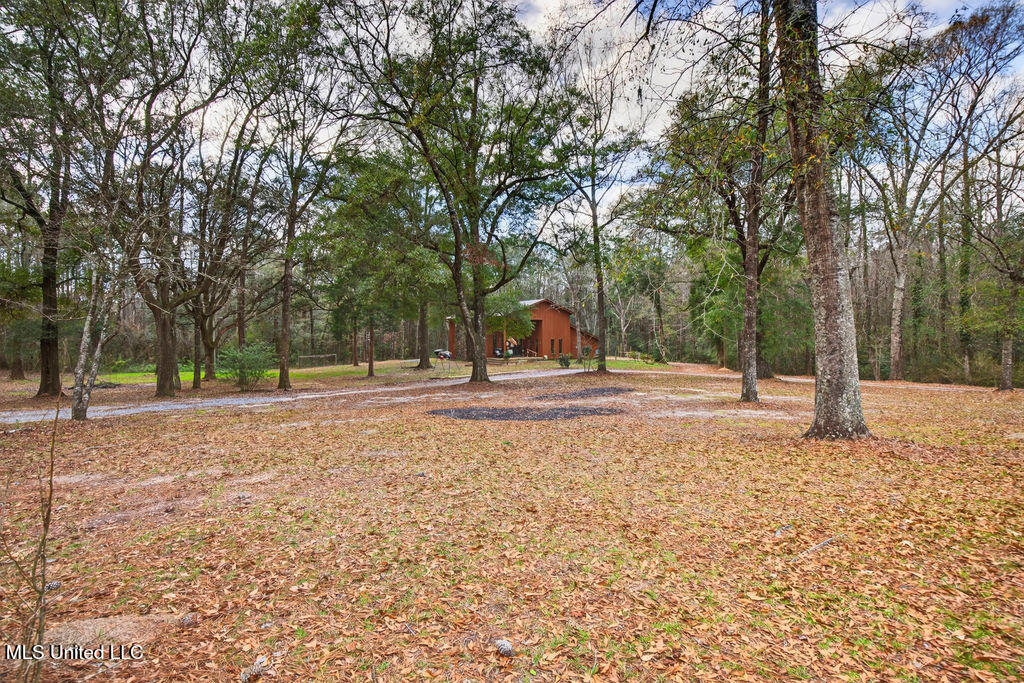 188 Devaughn Road Lucedale, MS 39452 - Photo 7 of 41 188DevaughnRd-3
