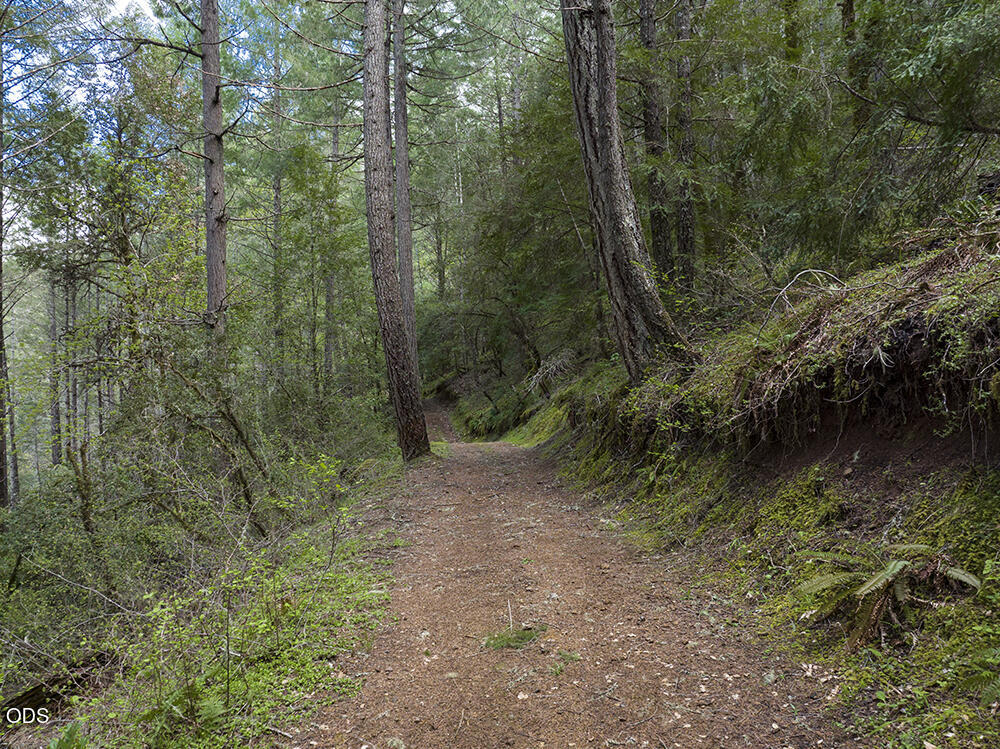 910 Reeves Creek Road Selma, OR 97538 - Photo 43 of 73