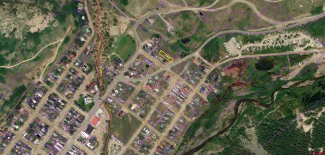 a close up of a plant in a garden