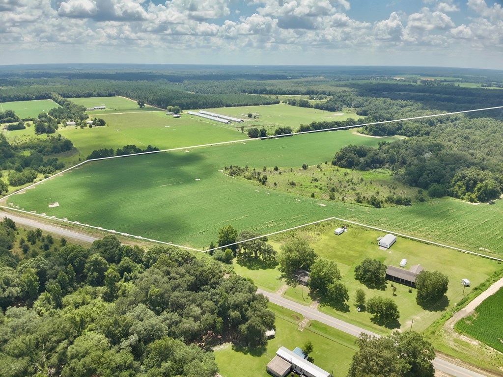 92-acres Bazemore Mill Pond Road Gordon, AL 36343 - Photo 3 of 15