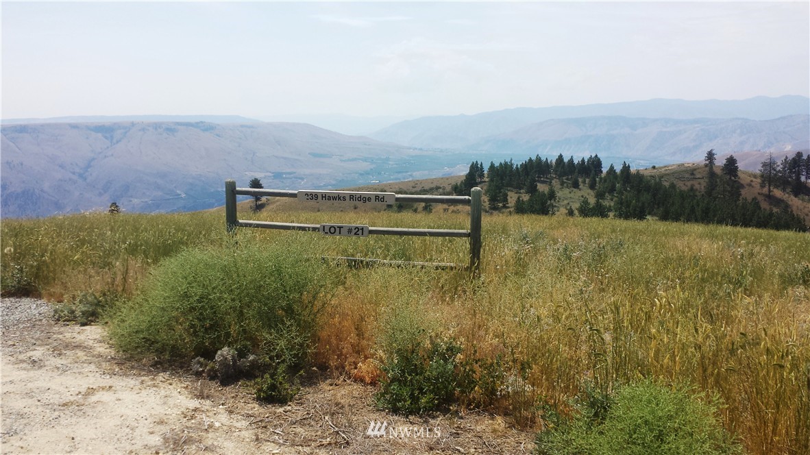 239 Hawks Ridge Road Chelan, WA 98816 - Photo 1 of 11 Gallery Image 1