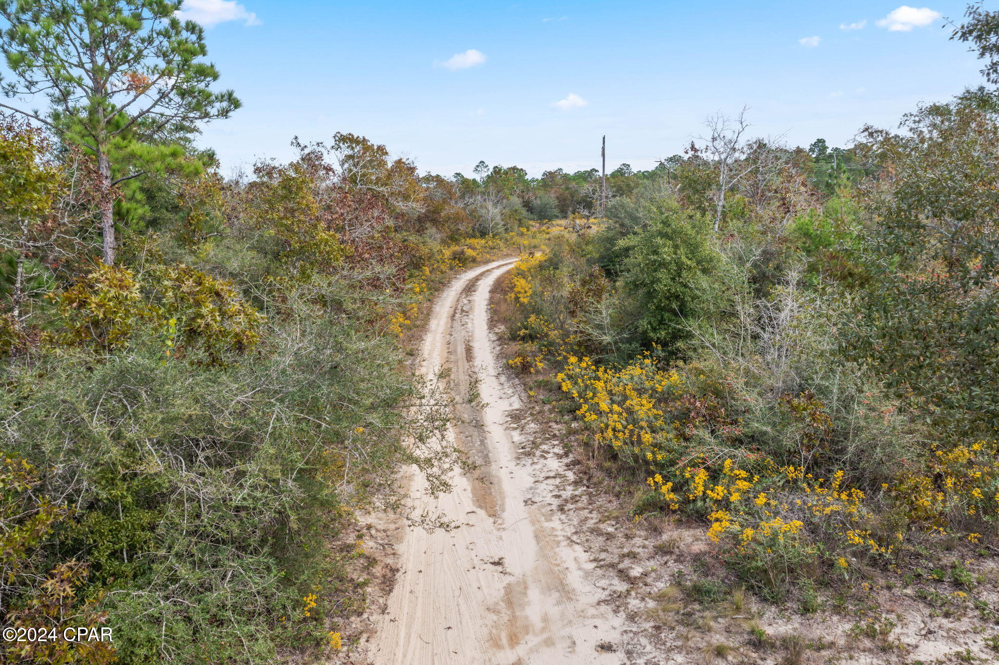 0 Powerline Road Chipley, FL 32428 - Photo 8 of 9