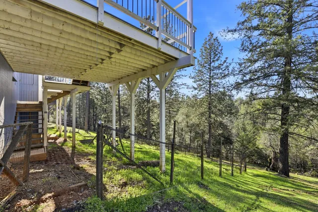 a view of a backyard with plants