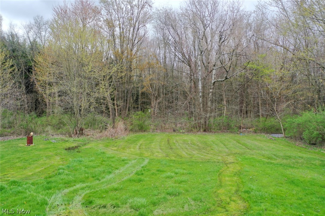 346 Amboy Road Conneaut, OH 44030 - Photo 29 of 41 View of yard