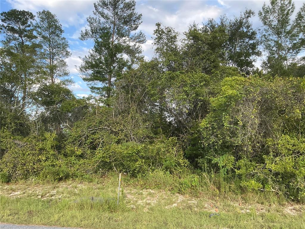 Sw Southwest 35th Ave Road Ocala, FL 34473 - Photo 1 of 1 Gallery Image 1