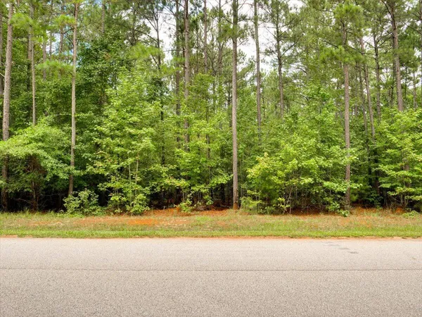 $39,000 | Lot 57 Lighthouse Pointe, Lincolnton, GA 30817