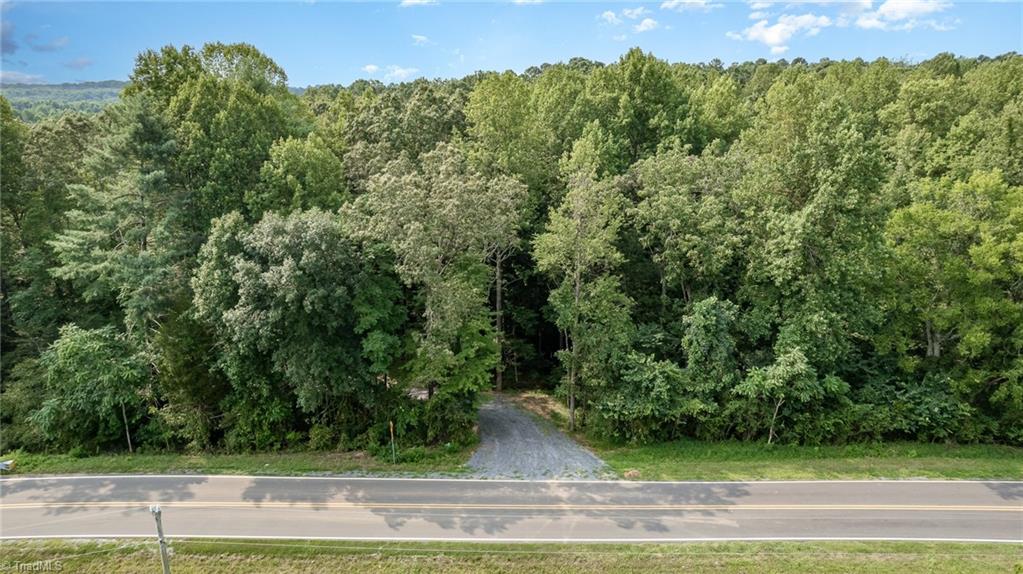 0 Low Bridge Road Franklinville, NC 27248 - Photo 5 of 13