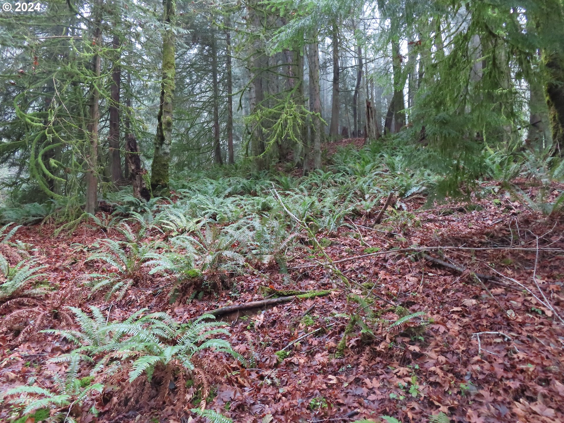 106 State Route, Unit 2 Belfair, WA 98528 - Photo 17 of 21 Gallery Image 17