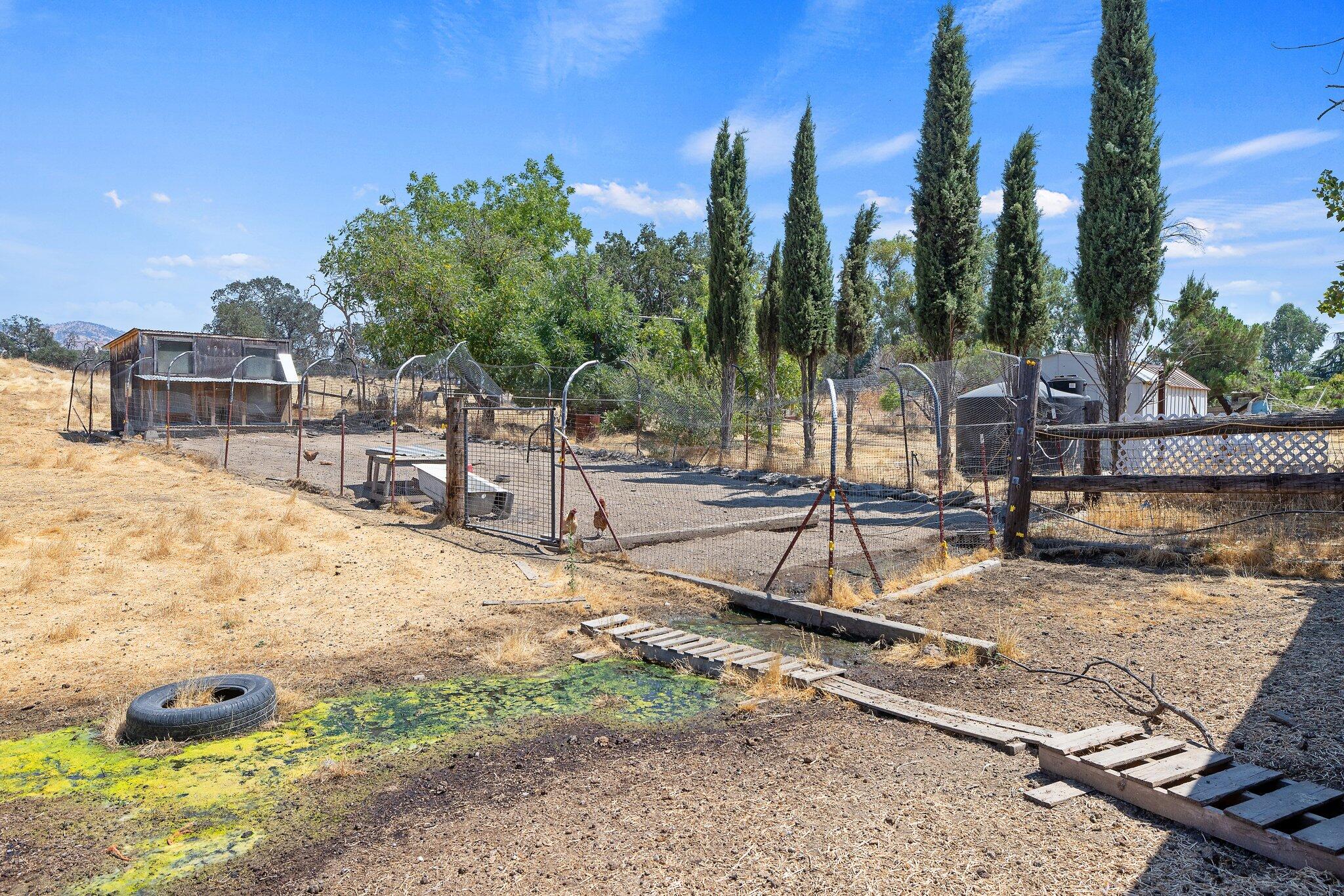30874 Ruth Hill Road Squaw Valley, CA 93675 - Photo 26 of 42 34-web-or-mls-713A2172
