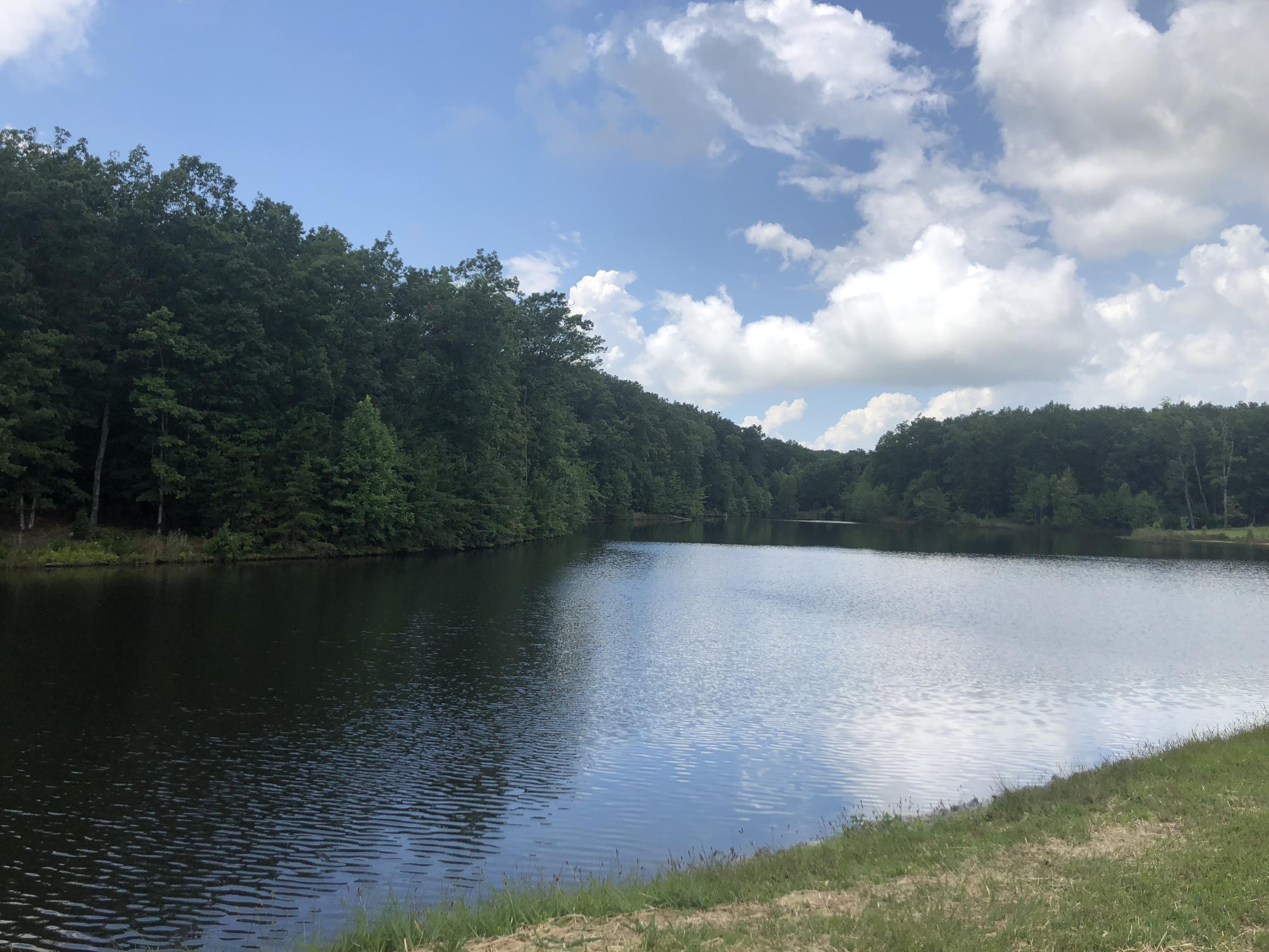 0 Brow Road, Unit LOT 38 Monteagle, TN 37356 - Photo 7 of 35 IMG_2539
