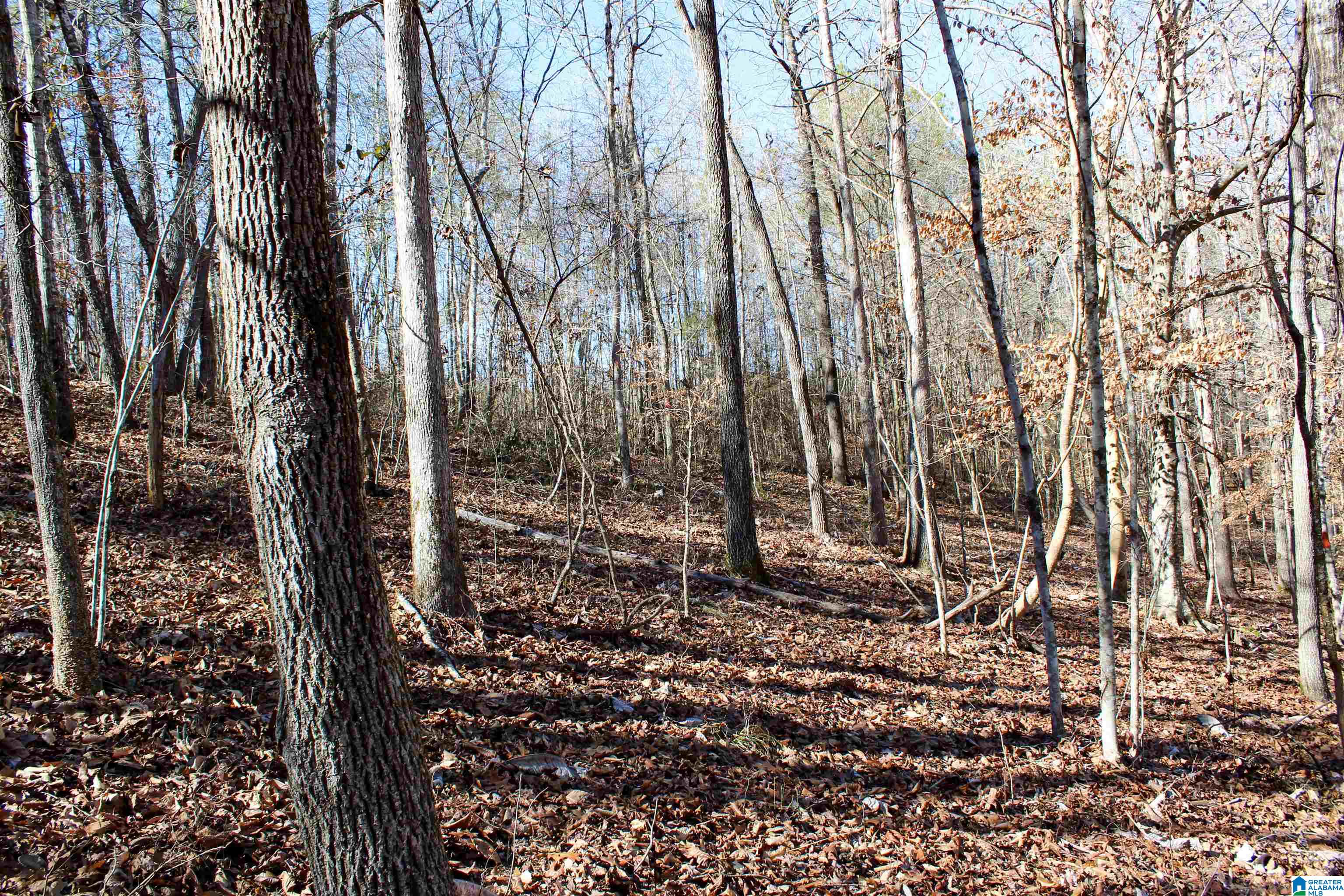 339 County Road Nauvoo, AL 35578 - Photo 27 of 57