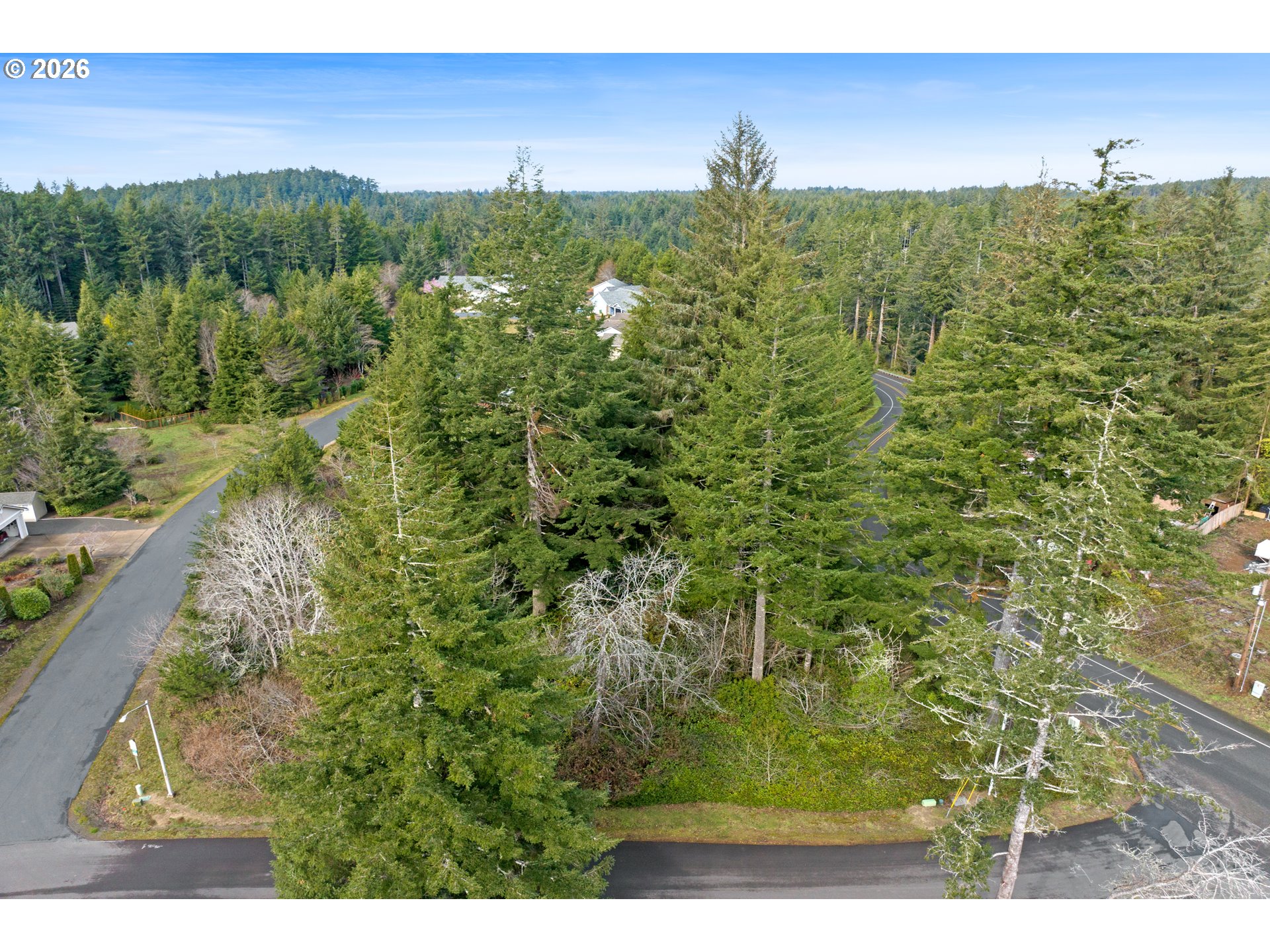 5591 Chittum Loop Florence, OR 97439 - Photo 3 of 23 a view of a yard with an outdoor space