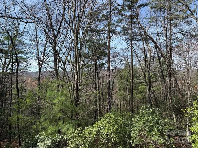 $64,900 | Tbd Casey Mountain Road, Unit 213, Purlear, NC 28665