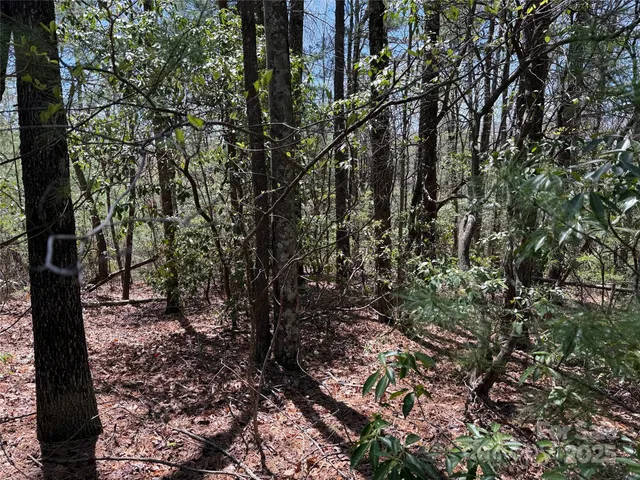 $64,900 | Tbd Casey Mountain Road, Unit 213, Purlear, NC 28665