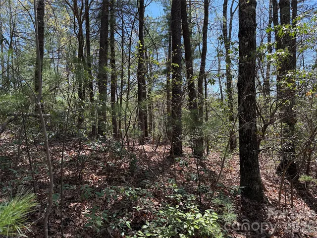 $64,900 | Tbd Casey Mountain Road, Unit 213, Purlear, NC 28665