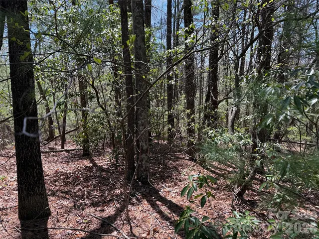 $64,900 | Tbd Casey Mountain Road, Unit 213, Purlear, NC 28665