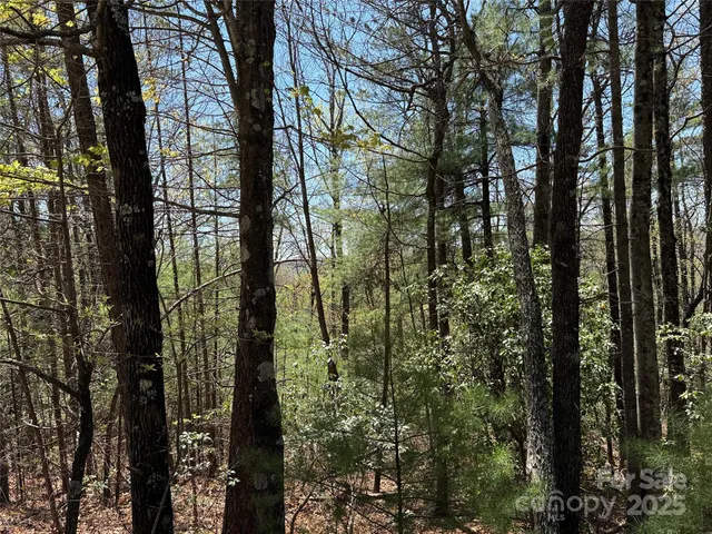 $64,900 | Tbd Casey Mountain Road, Unit 213, Purlear, NC 28665