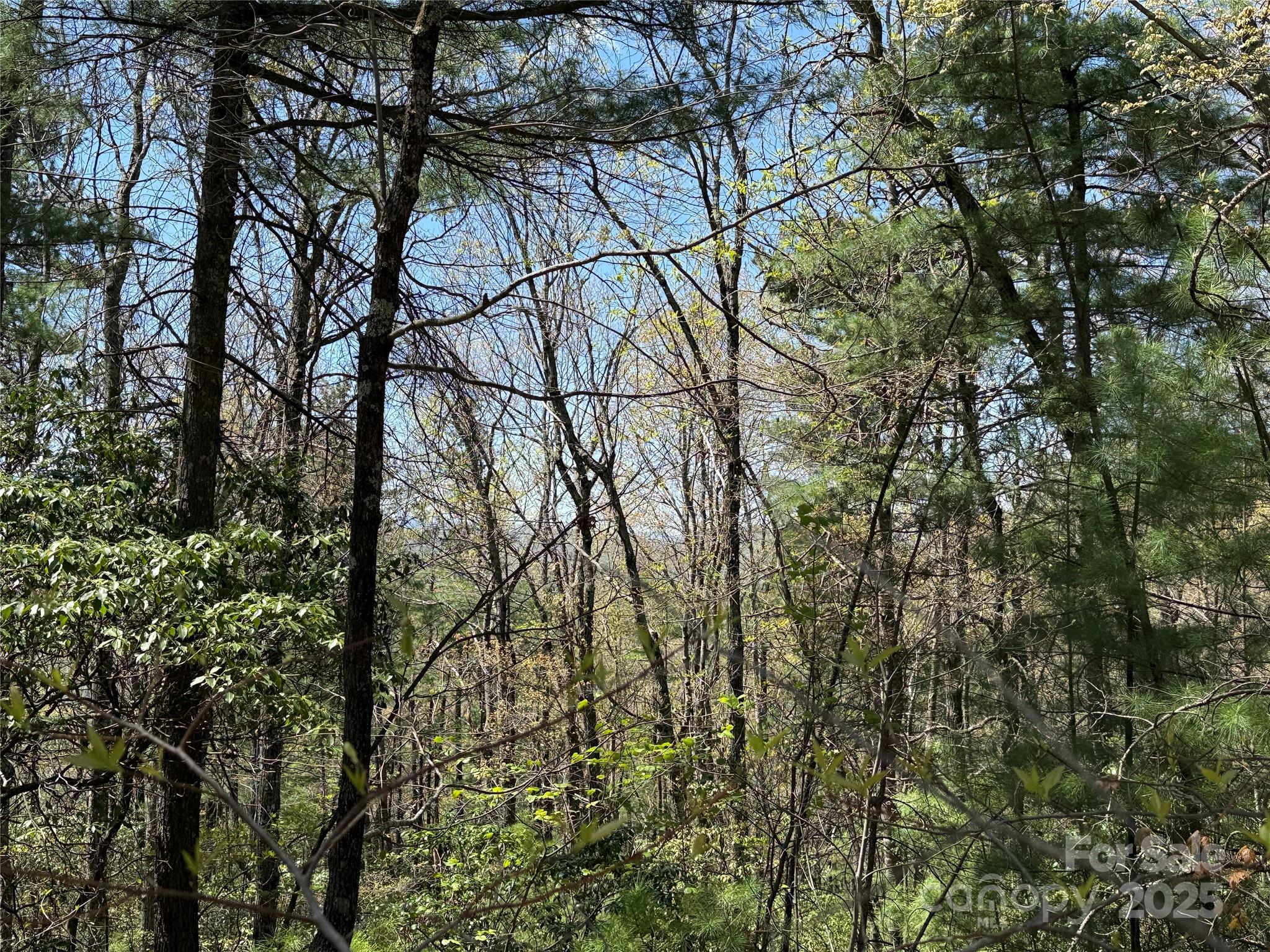 Tbd Casey Mountain Road, Unit 213 Purlear, NC 28665 - Photo 13 of 37