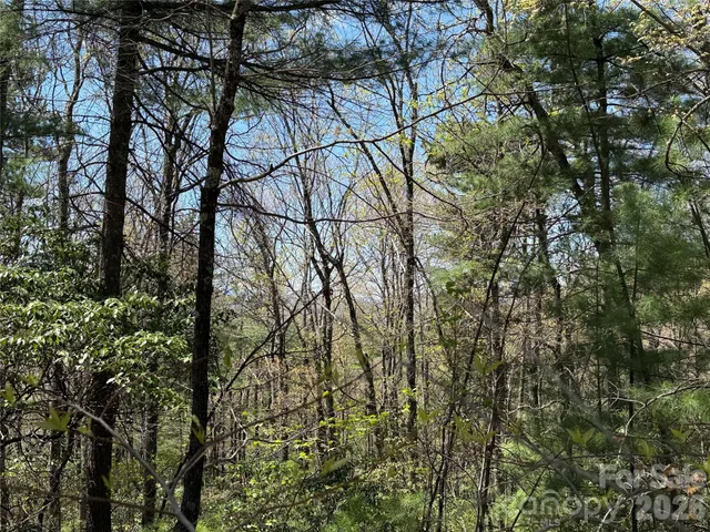 $64,900 | Tbd Casey Mountain Road, Unit 213, Purlear, NC 28665