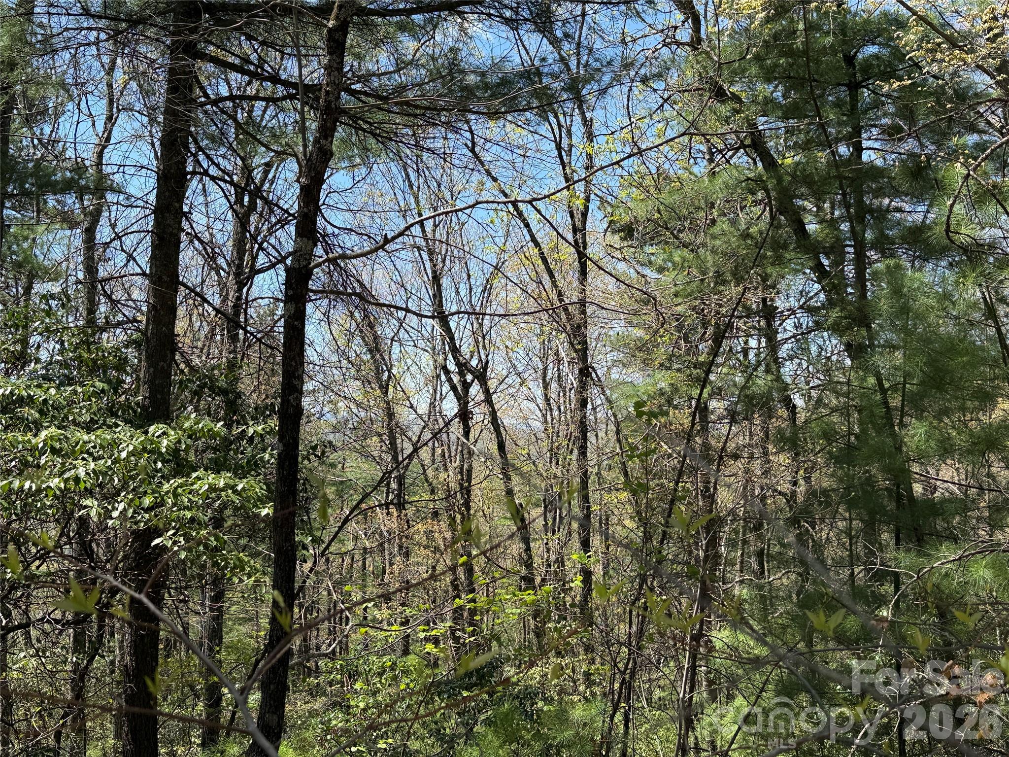 Tbd Casey Mountain Road, Unit 213 Purlear, NC 28665 - Photo 14 of 38