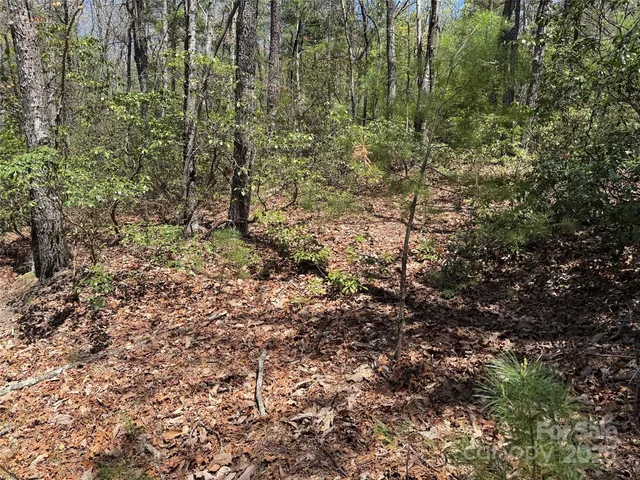 $64,900 | Tbd Casey Mountain Road, Unit 213, Purlear, NC 28665