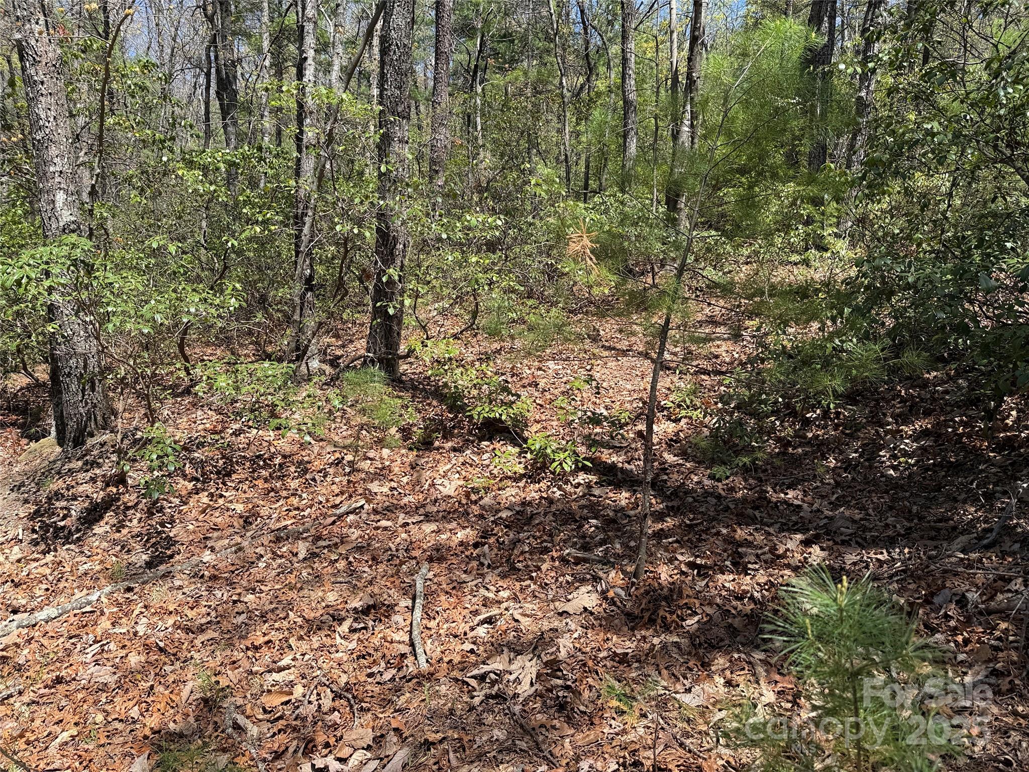 Tbd Casey Mountain Road, Unit 213 Purlear, NC 28665 - Photo 14 of 37