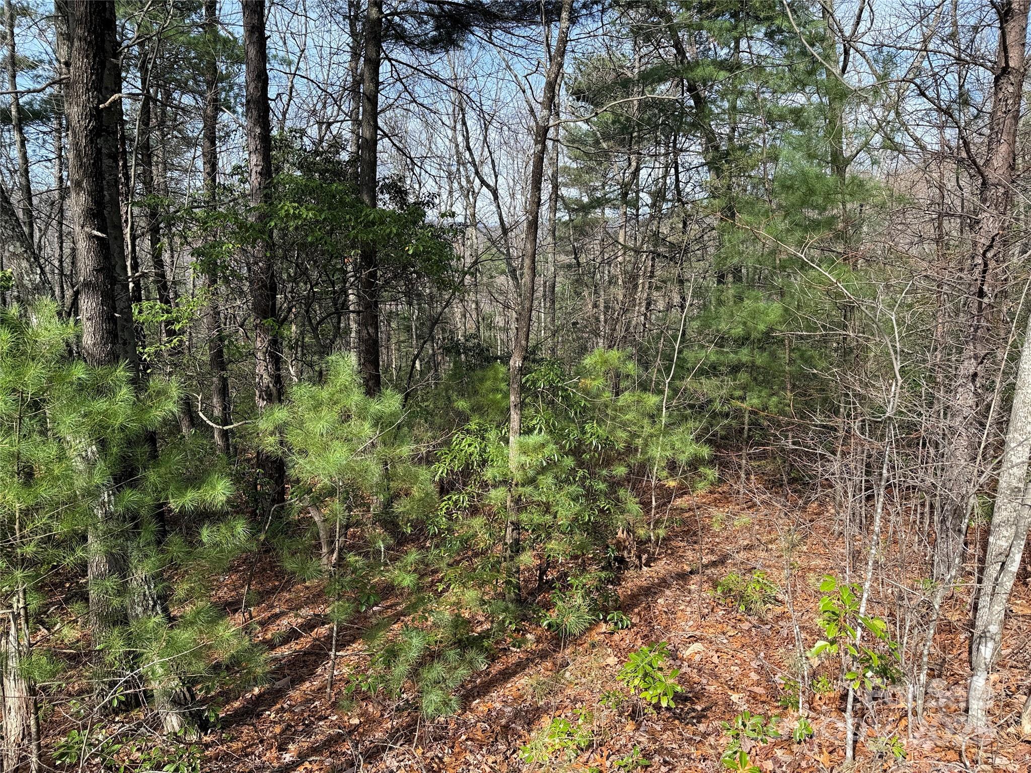 Tbd Casey Mountain Road, Unit 213 Purlear, NC 28665 - Photo 15 of 37