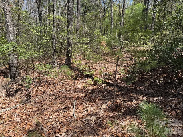 $64,900 | Tbd Casey Mountain Road, Unit 213, Purlear, NC 28665